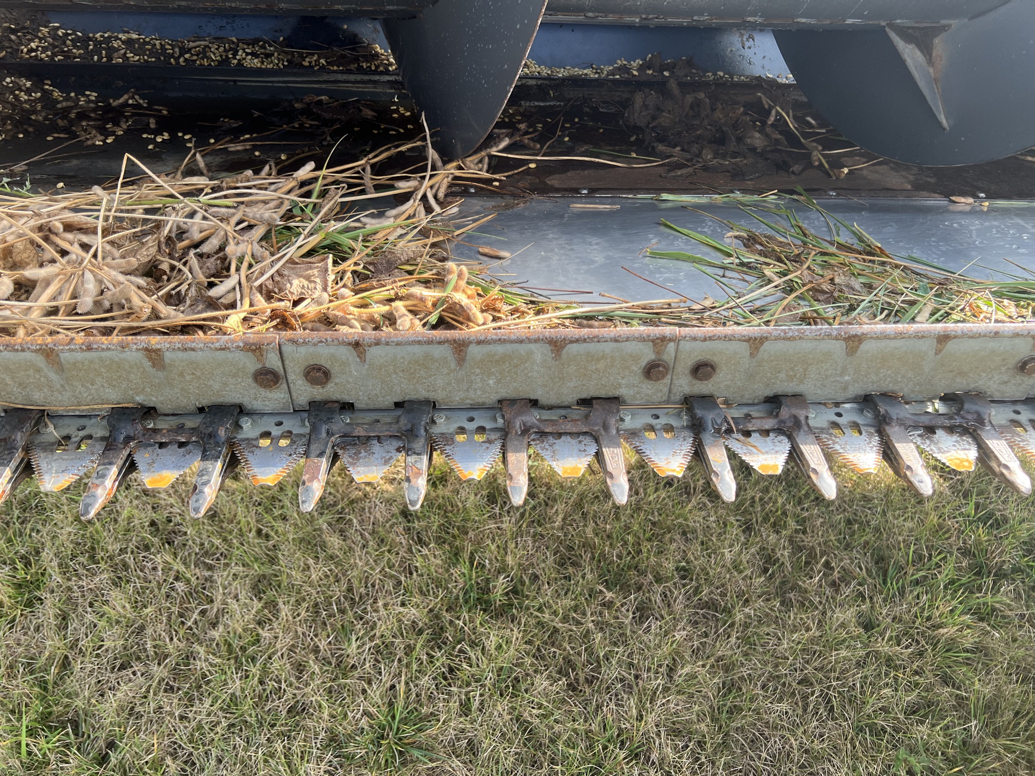 2009 Massey Ferguson 8200-30F Image 7