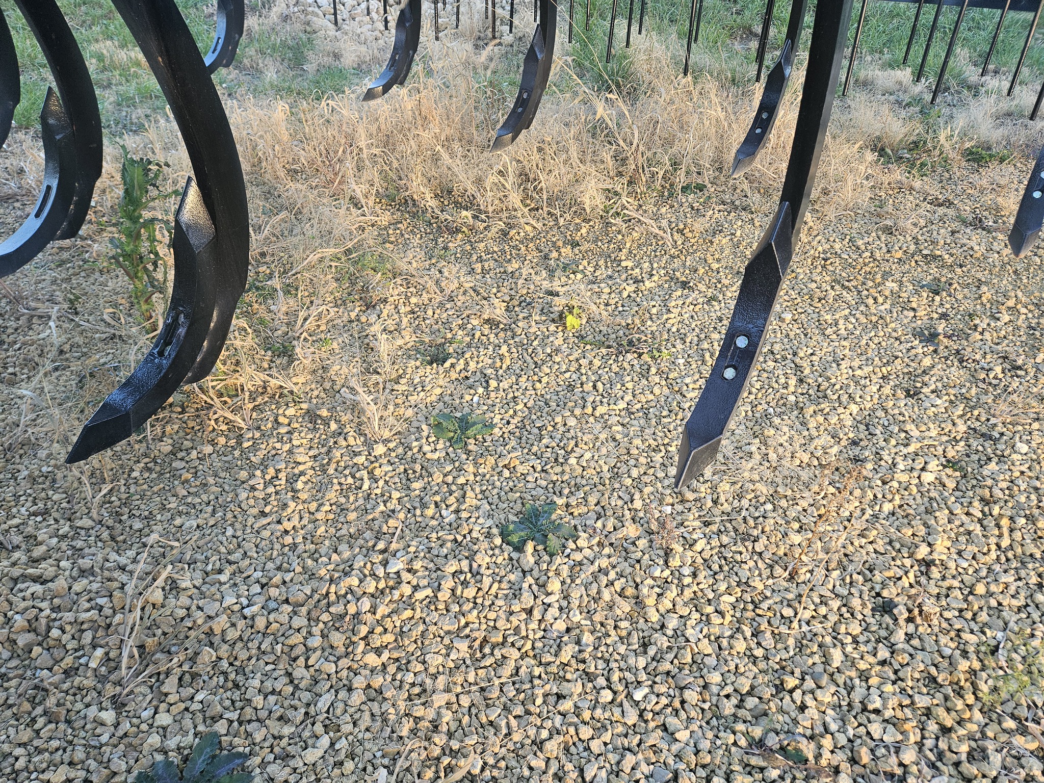 2025 Landoll 2132-21 COULTER CHISEL Image 8