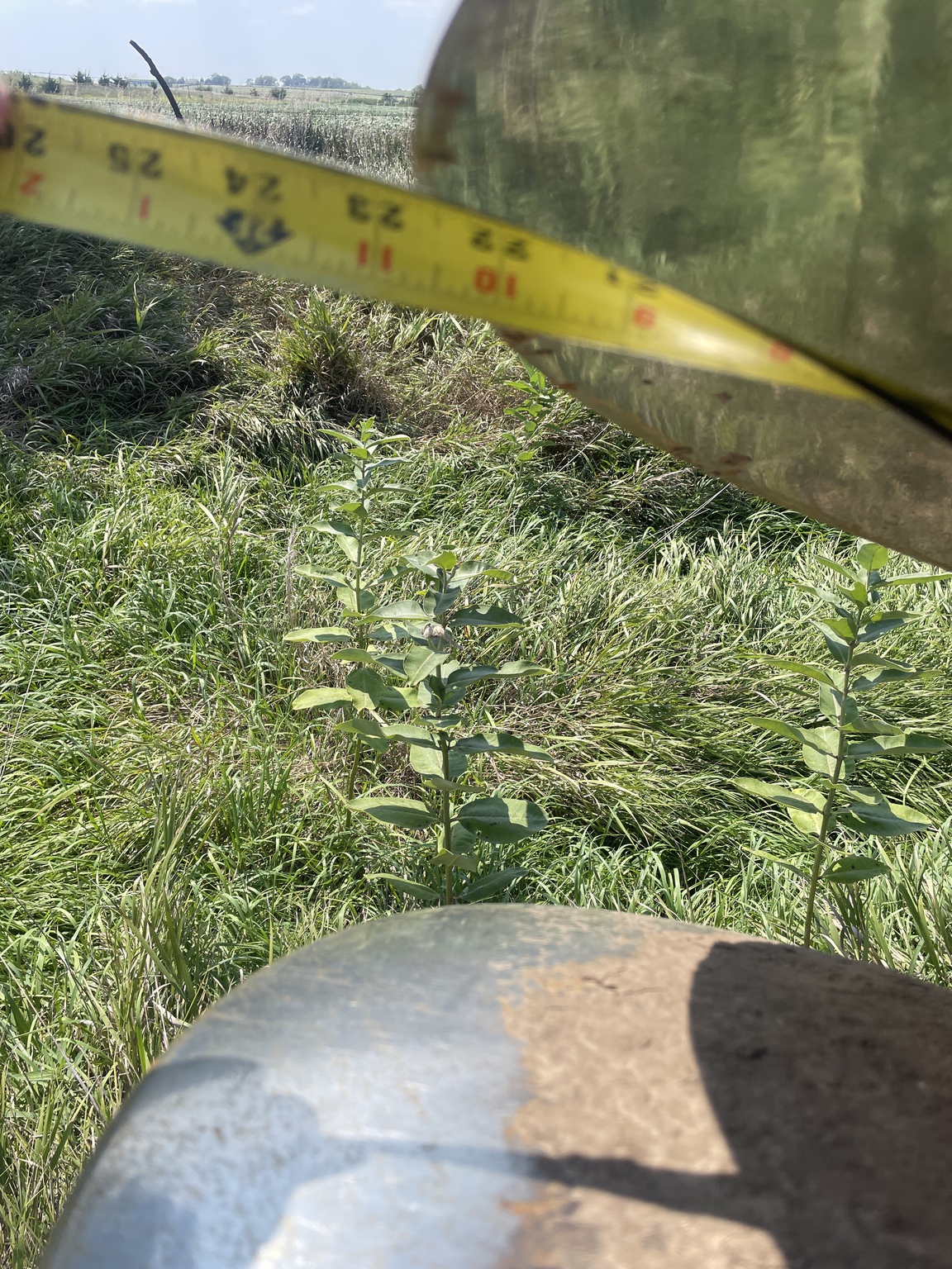 2001 Sunflower 1434-36 Image 9