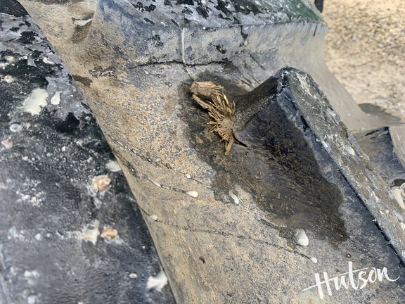 Photo of 2024 John Deere S780