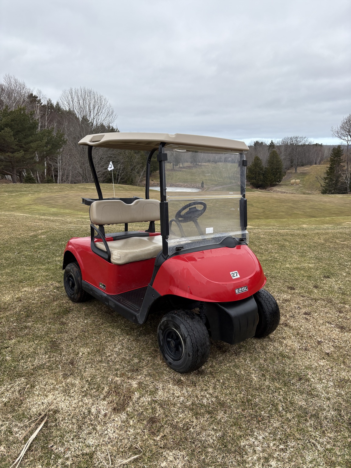 2019 EZ-GO RXV ELITE Image 3