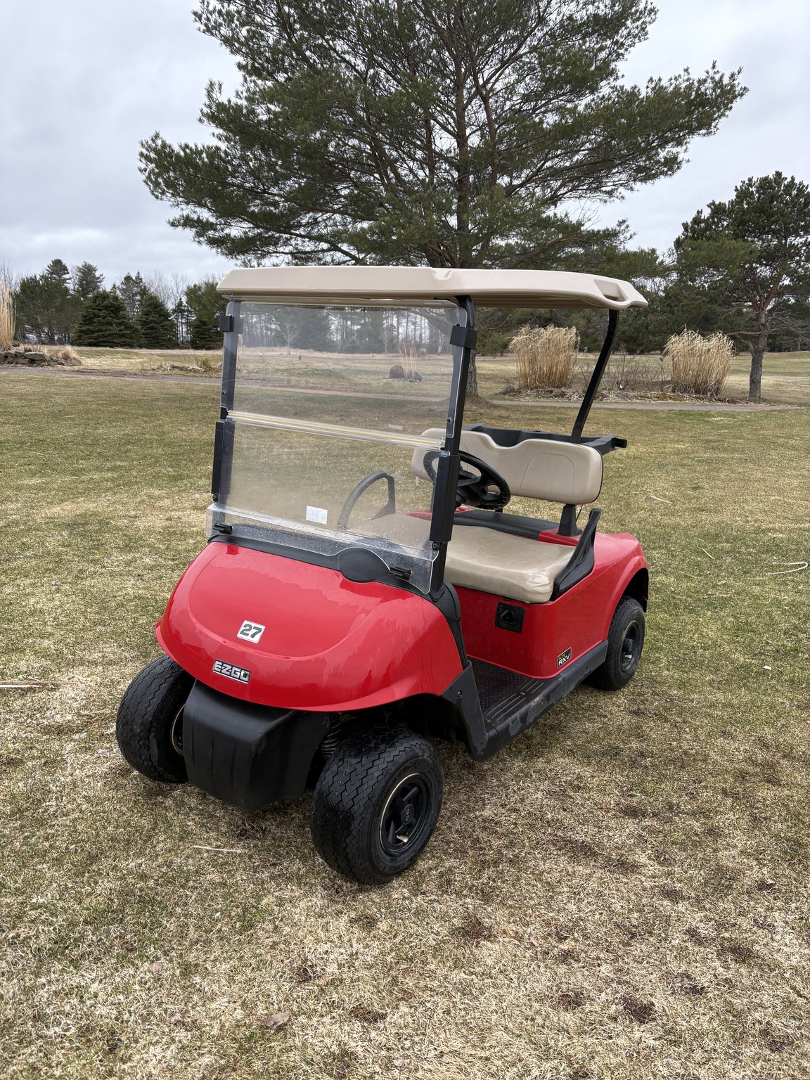 2019 EZ-GO RXV ELITE Image 1