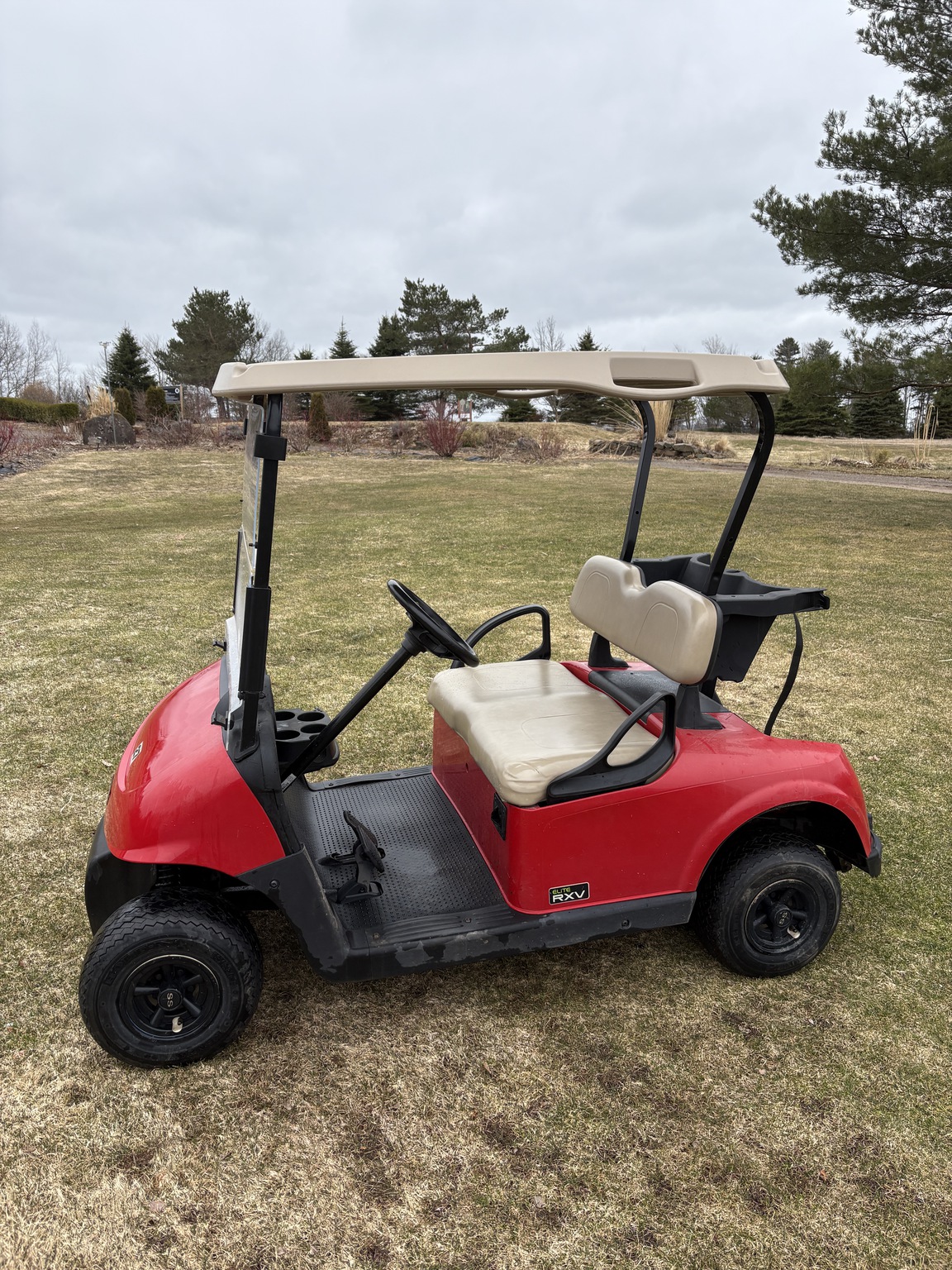 2019 EZ-GO RXV ELITE Image 2