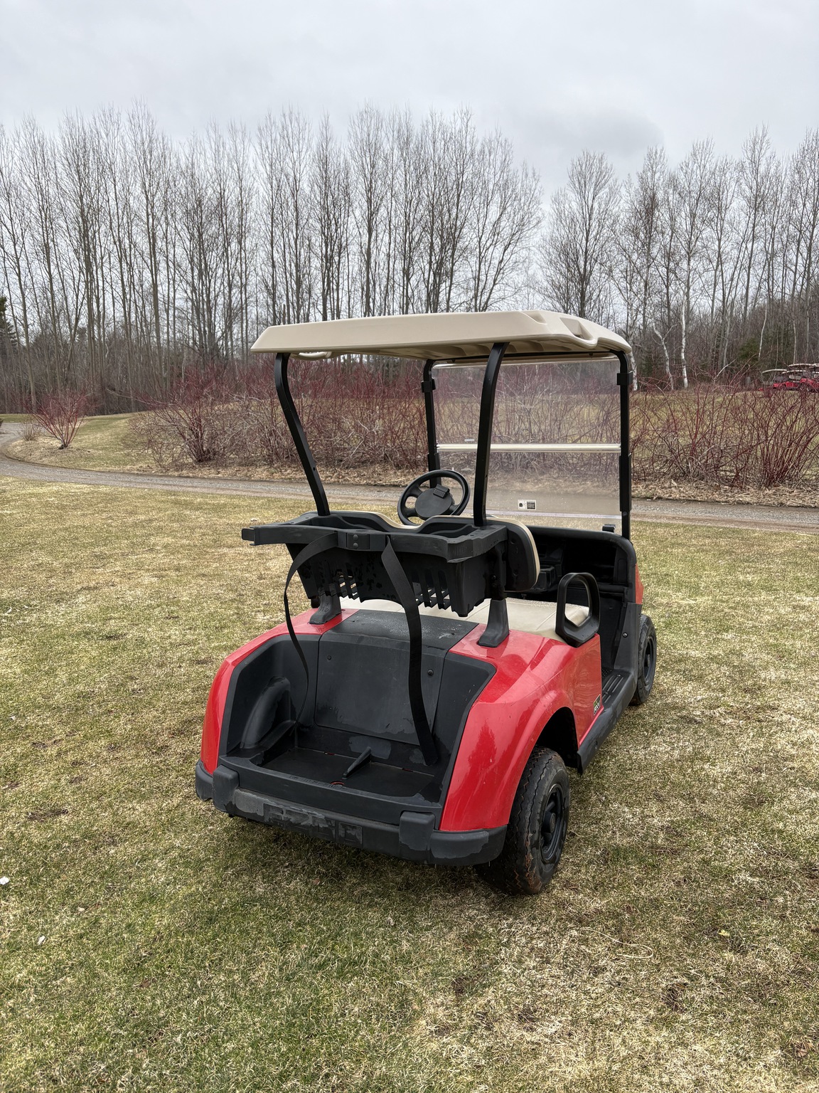 2019 EZ-GO RXV ELITE Image 4