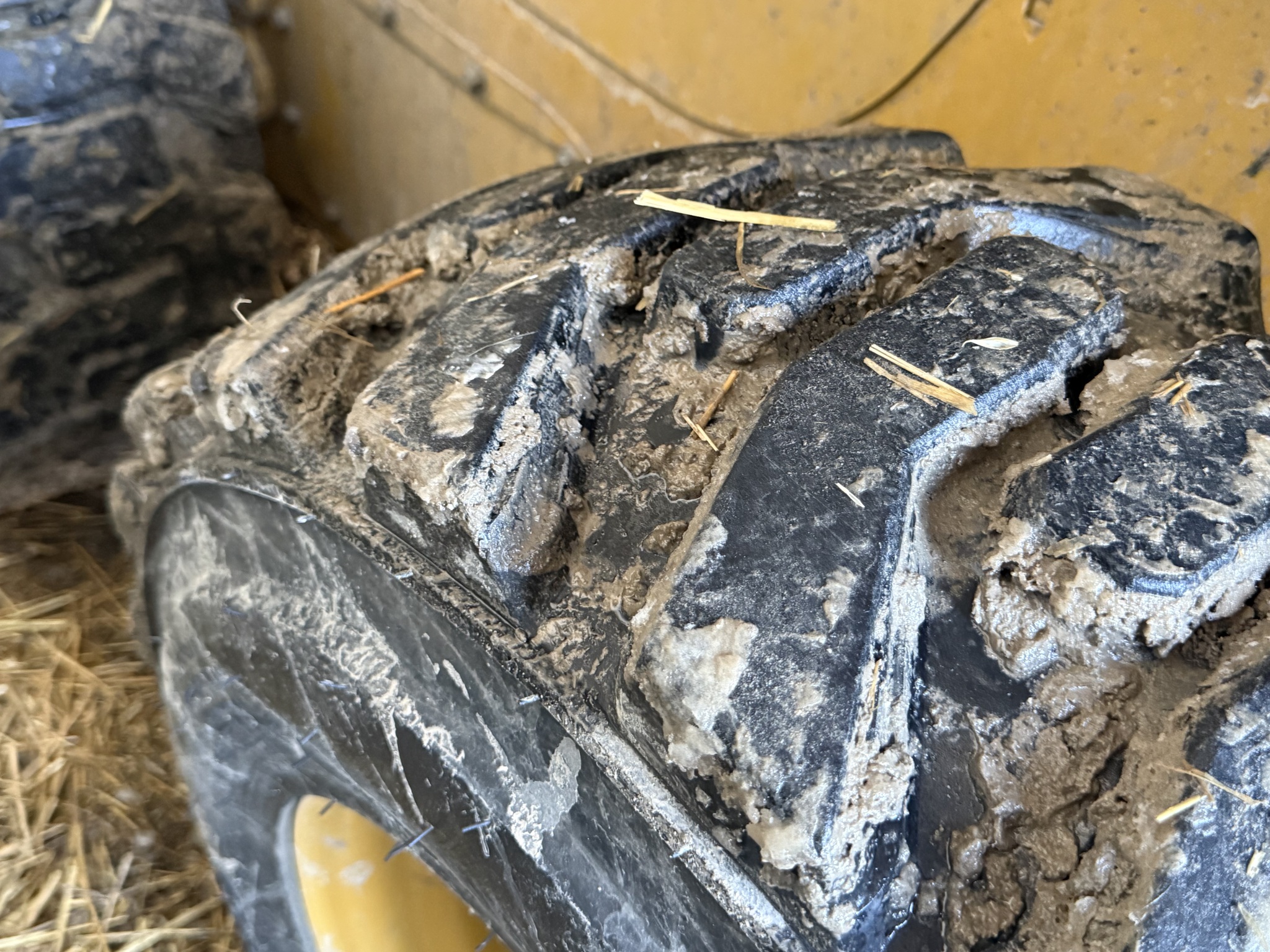 2021 Caterpillar 242D3 Image 4