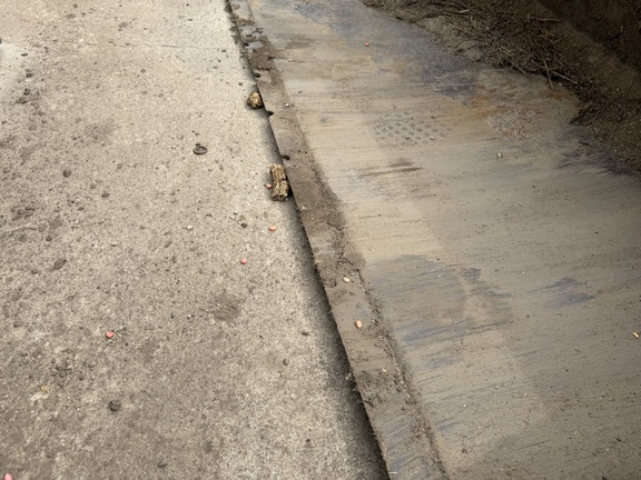 2002 New Holland LS180 - Photo18