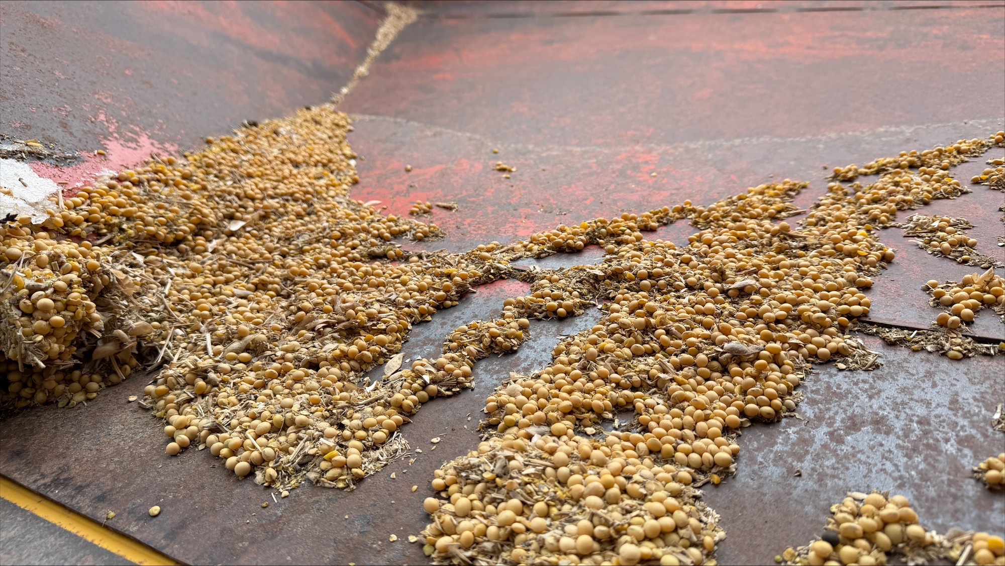 1974 J&M 250-7 Image 8