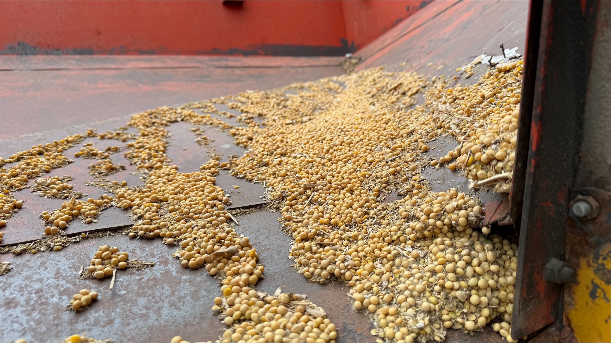 1974 J&M 250-7 Image 9