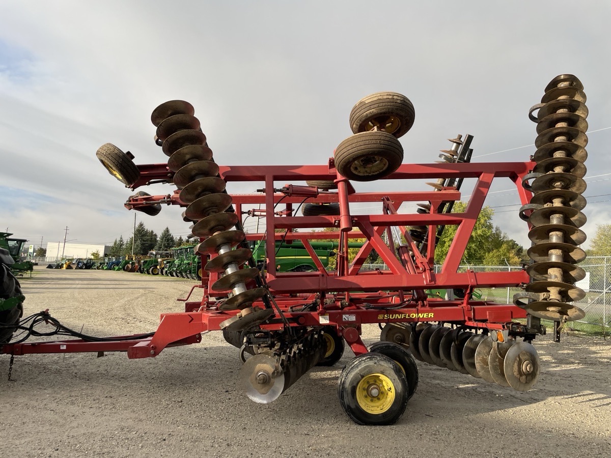 Sunflower 1434-33 Image 1