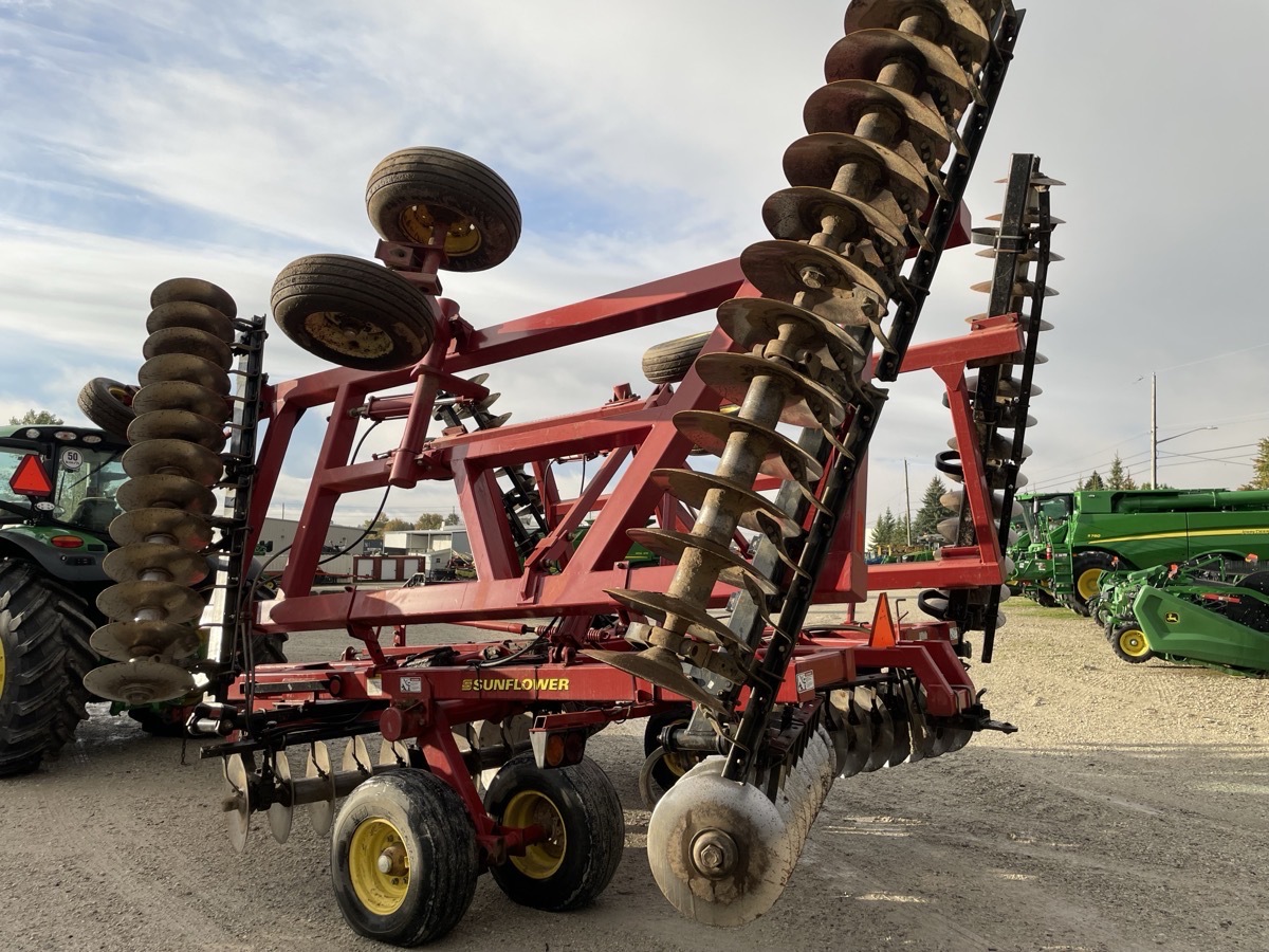 Sunflower 1434-33 Image 4