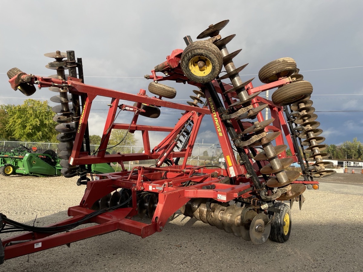 Sunflower 1434-33 Image 3