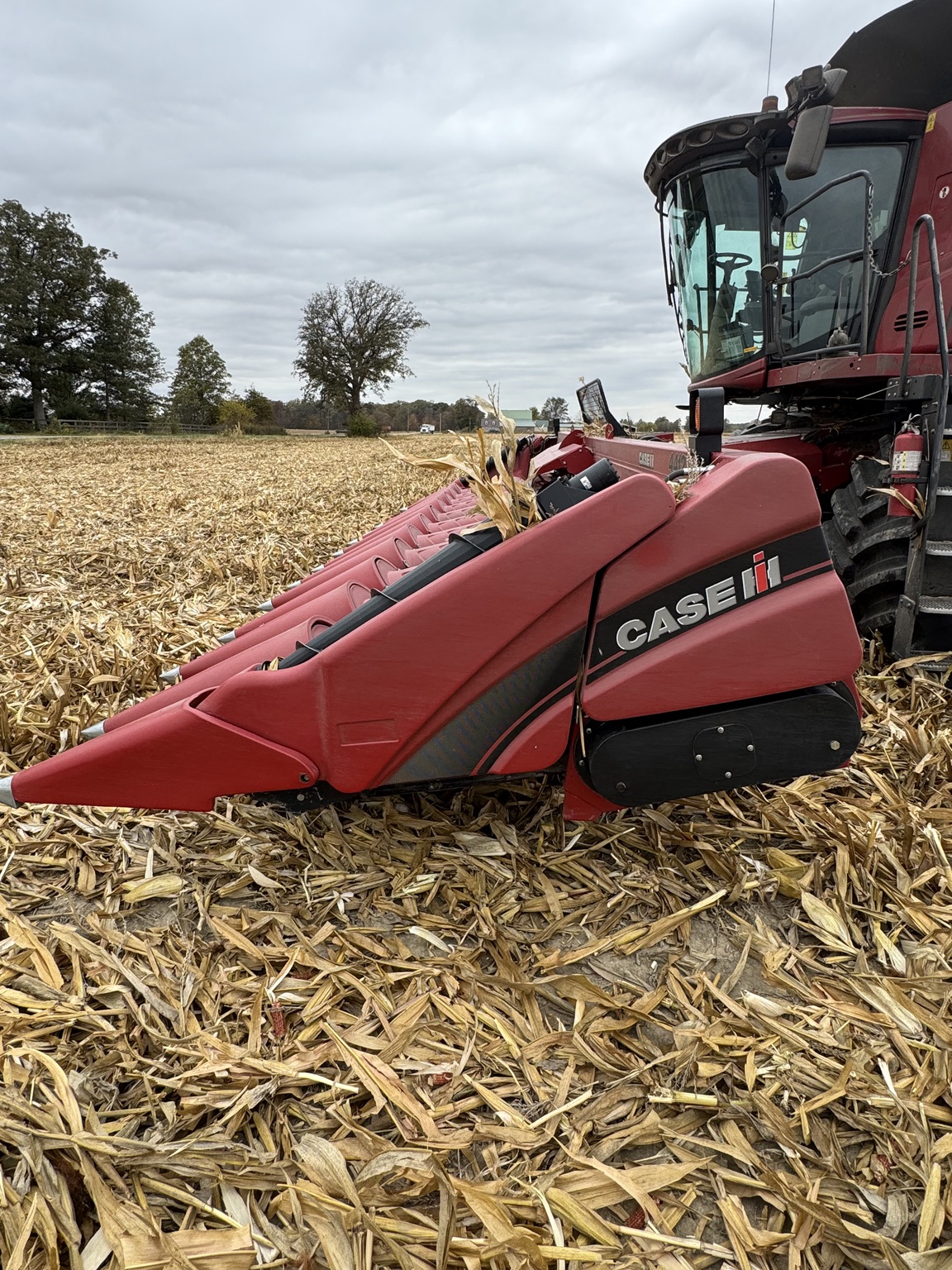 2020 Case IH 4412 Image 1