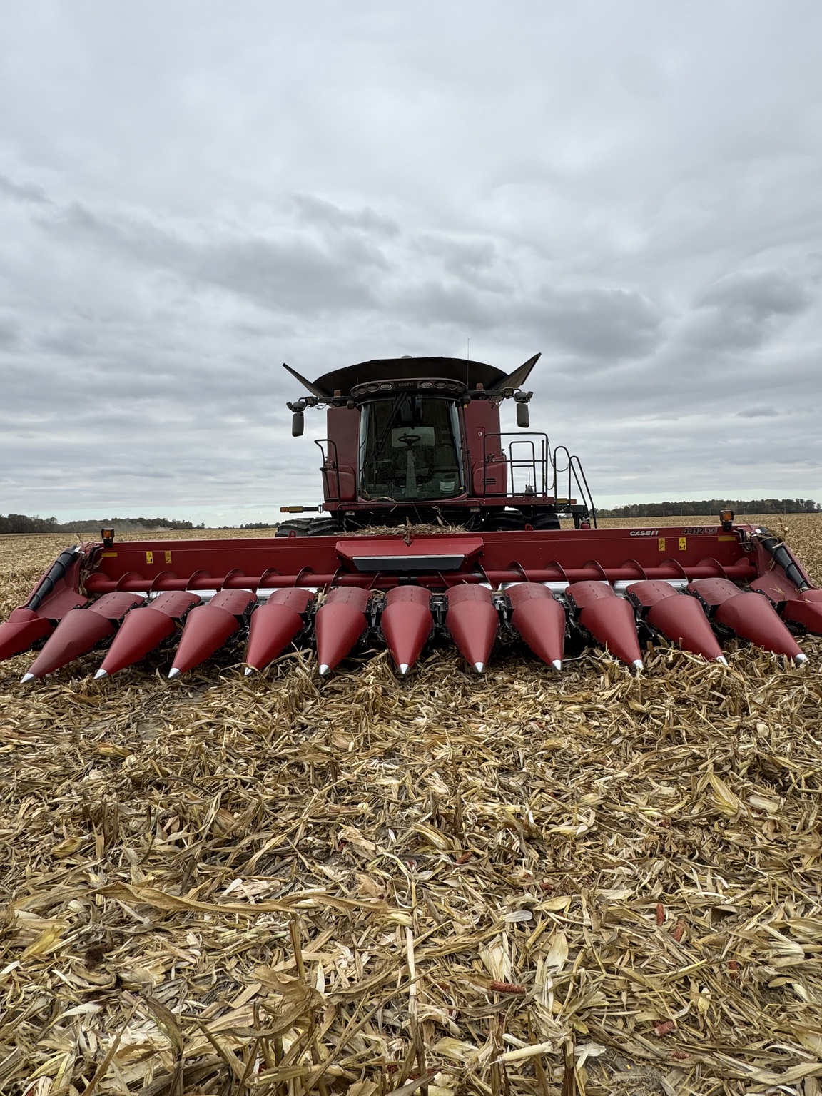 2020 Case IH 4412 Image 3