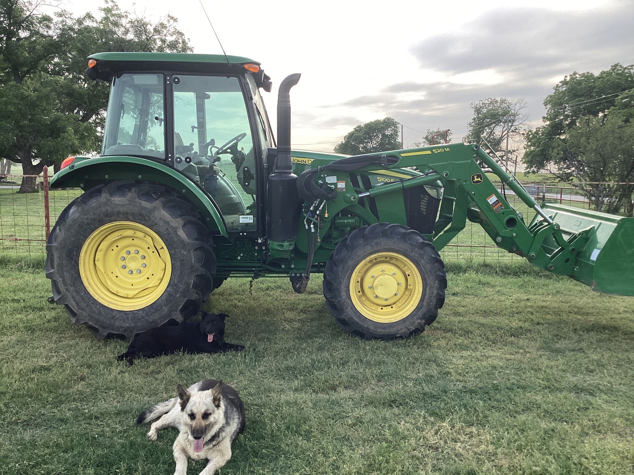 2023 John Deere 5100E Image 8