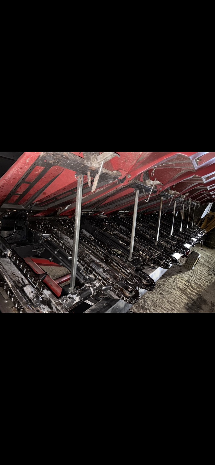 2009 Drago N8 Image 4