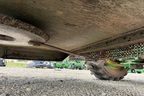 2021 John Deere 3035D Image 36