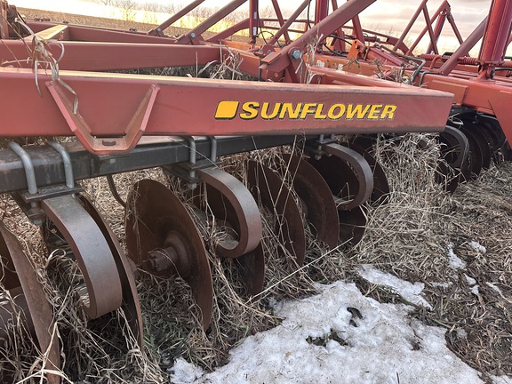  Sunflower 1544-45 - Photo6