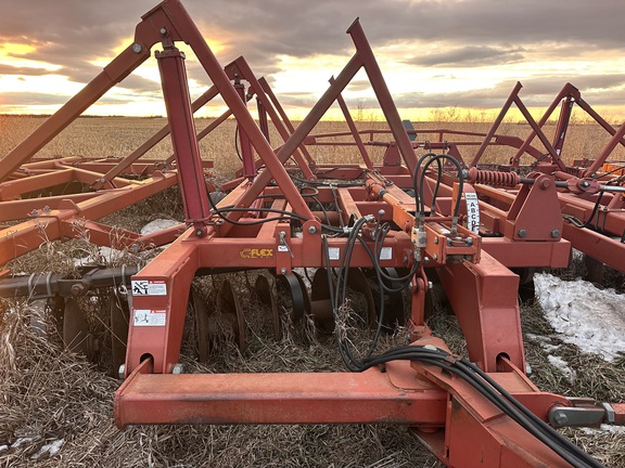  Sunflower 1544-45 - Photo10