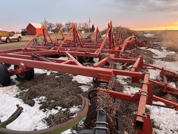  Sunflower 1544-45 - Photo5