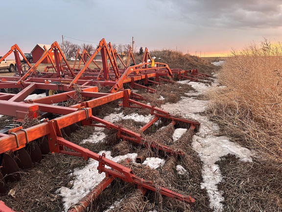  Sunflower 1544-45 - Photo3