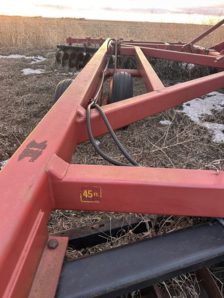  Sunflower 1544-45 - Photo9