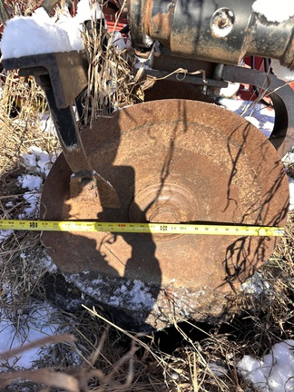  Sunflower 1544-45 - Photo16