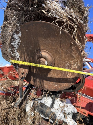  Sunflower 1544-45 - Photo14