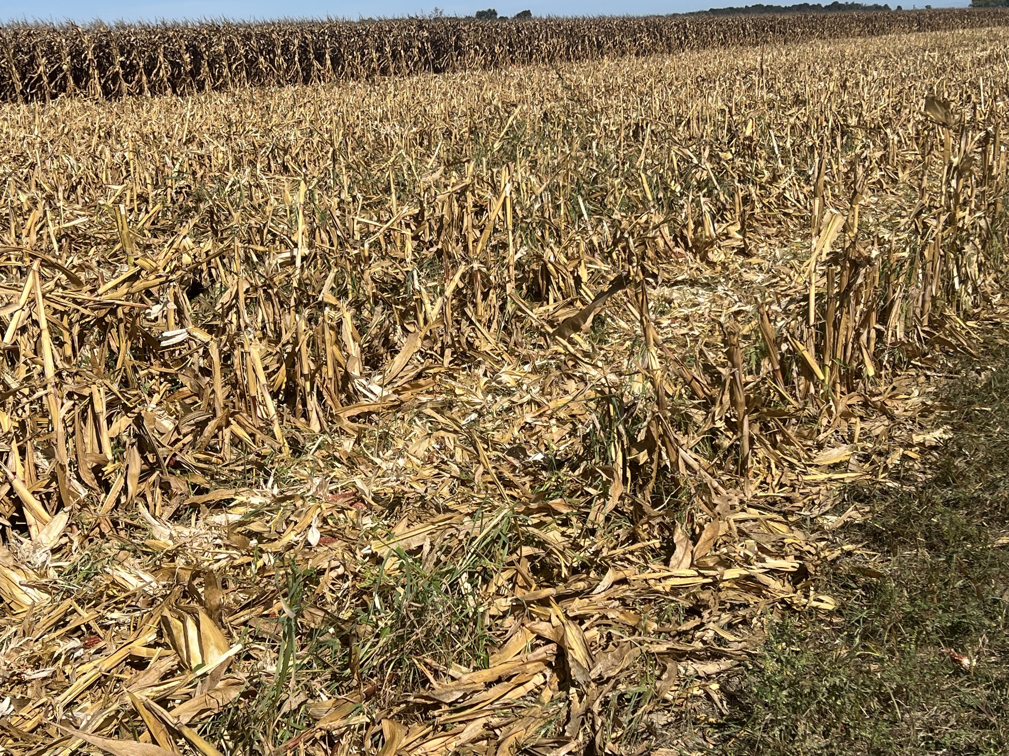 1998 John Deere 893 Image 20