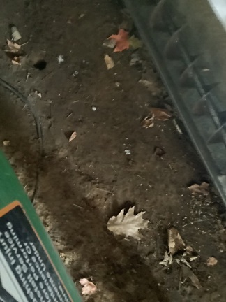 Photo of 1998 John Deere 1780