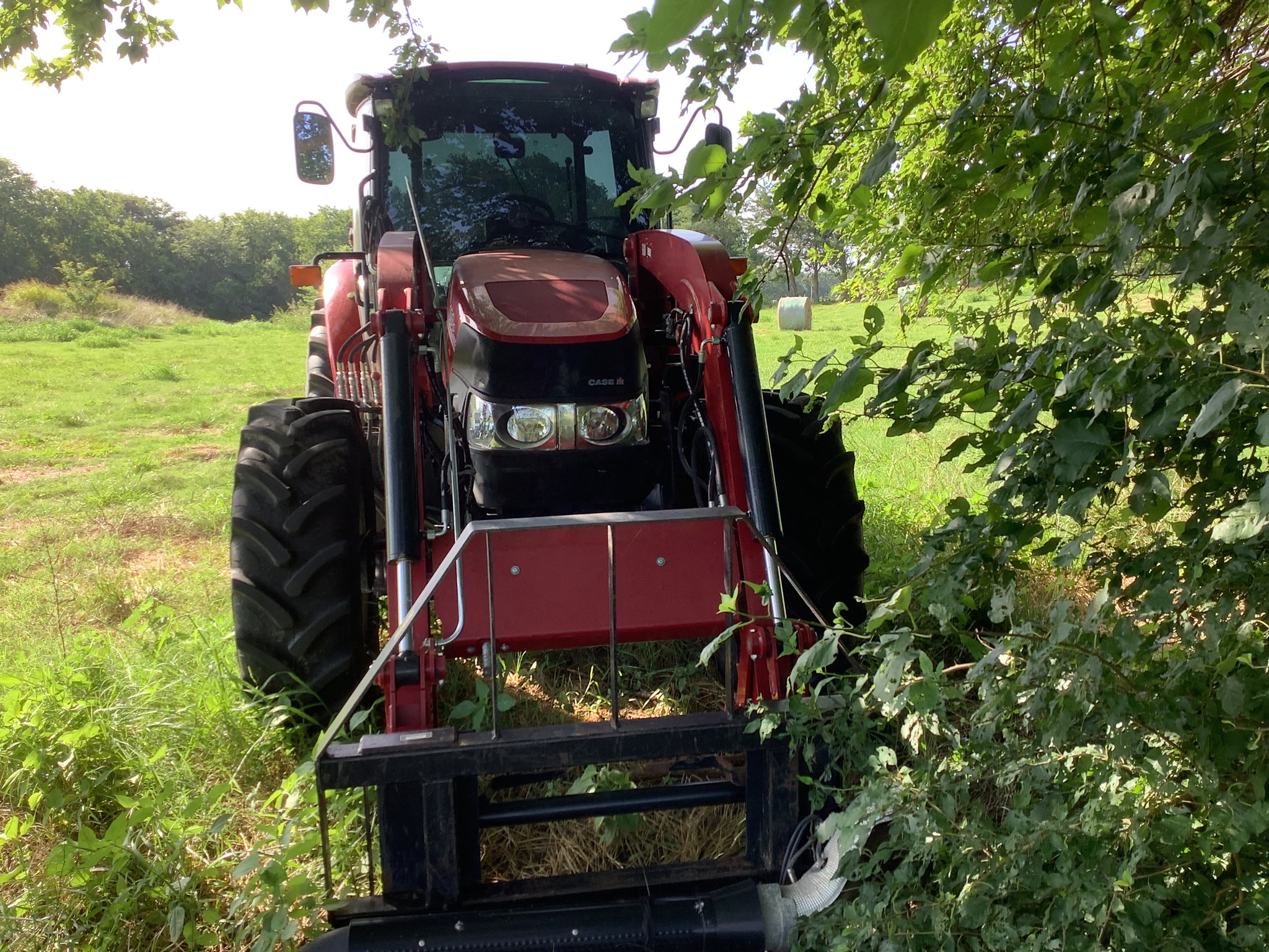 2021 Case IH Farmall 100C Image 3
