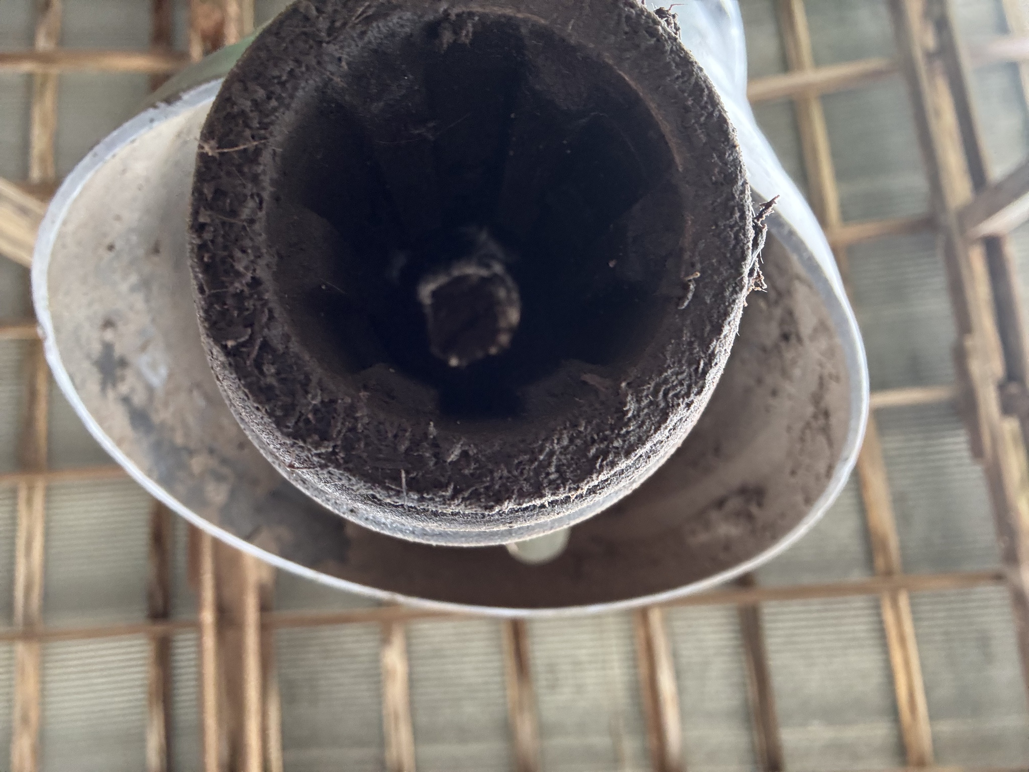 1999 John Deere 566 Image 10