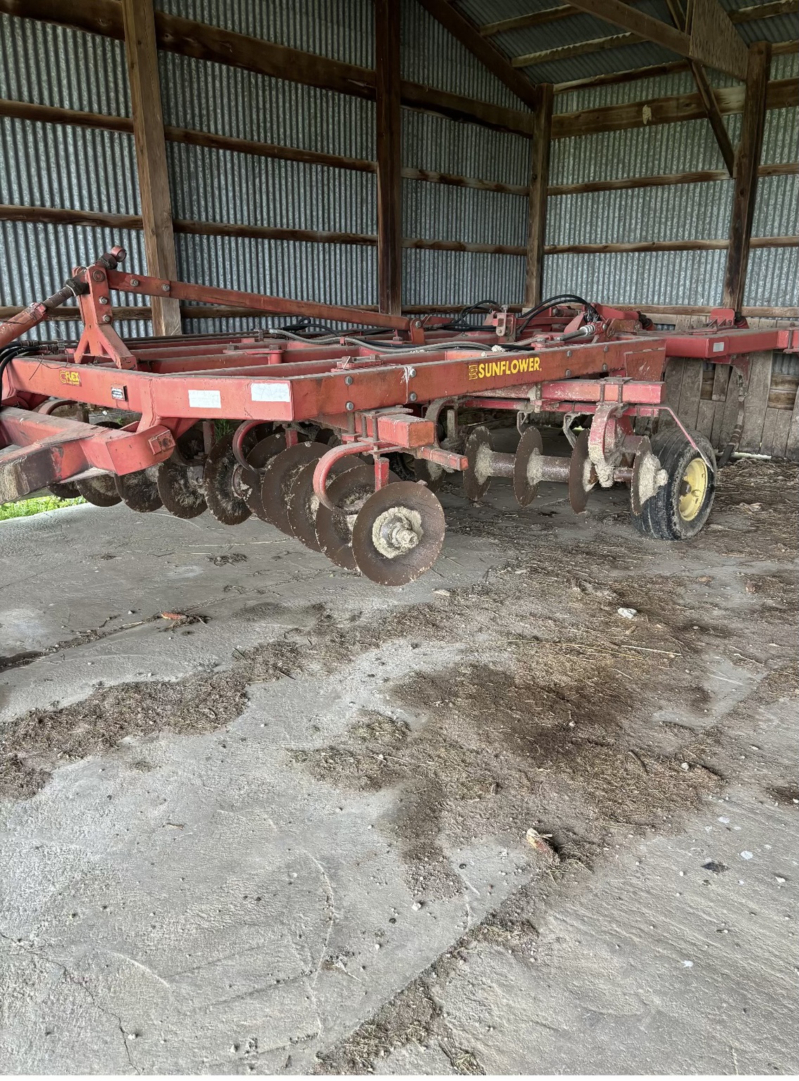 Sunflower 4311-14 Image 2