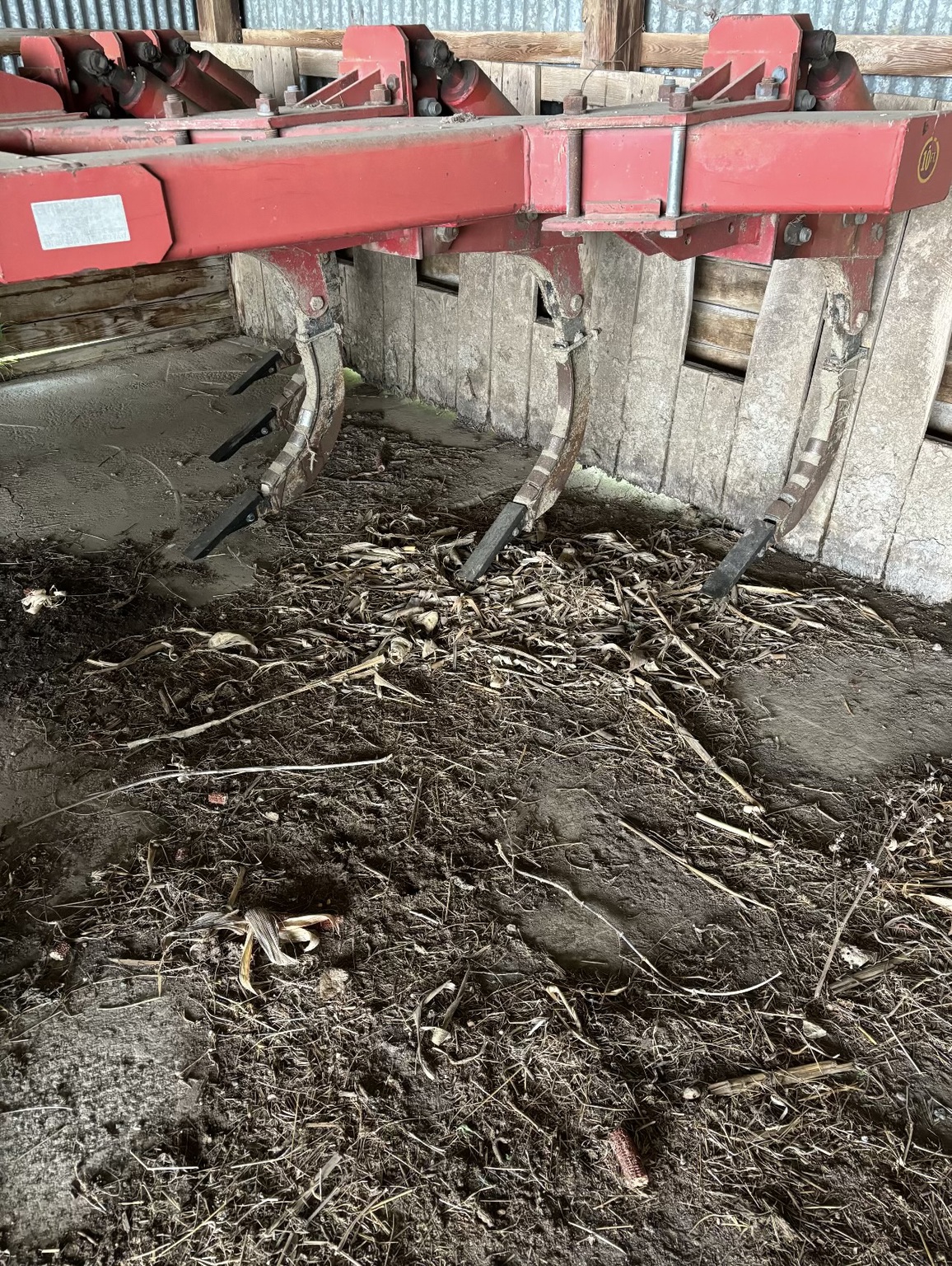 Sunflower 4311-14 Image 3