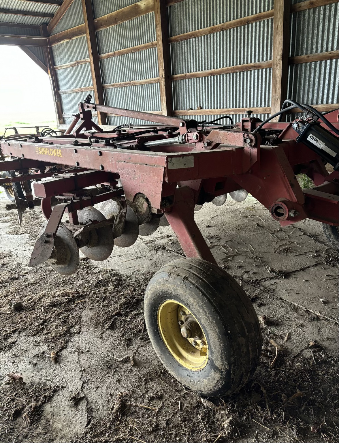 Sunflower 4311-14 Image 4