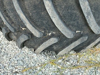2022 Goodyear 620/70R46 Image 2