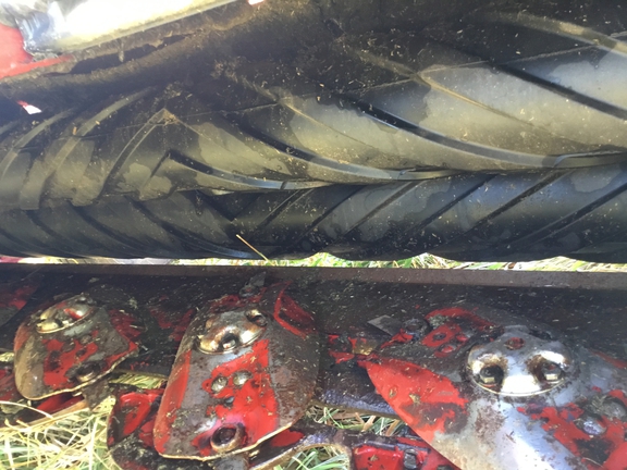 2024 Case IH DC165 - Photo8