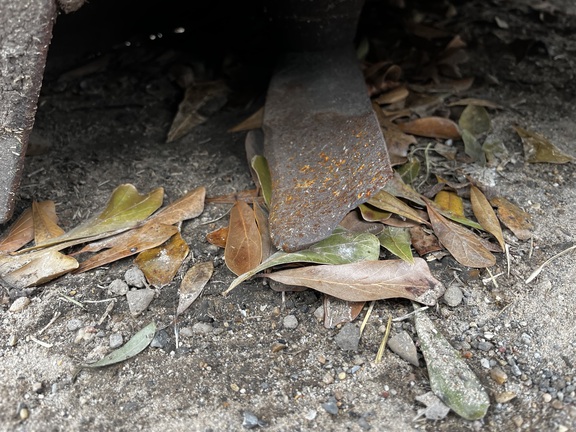 2021 John Deere 60D Photo 8