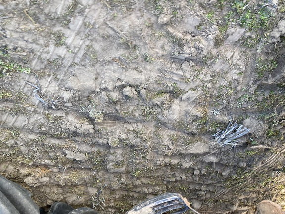 Claas Axion 810 image 18