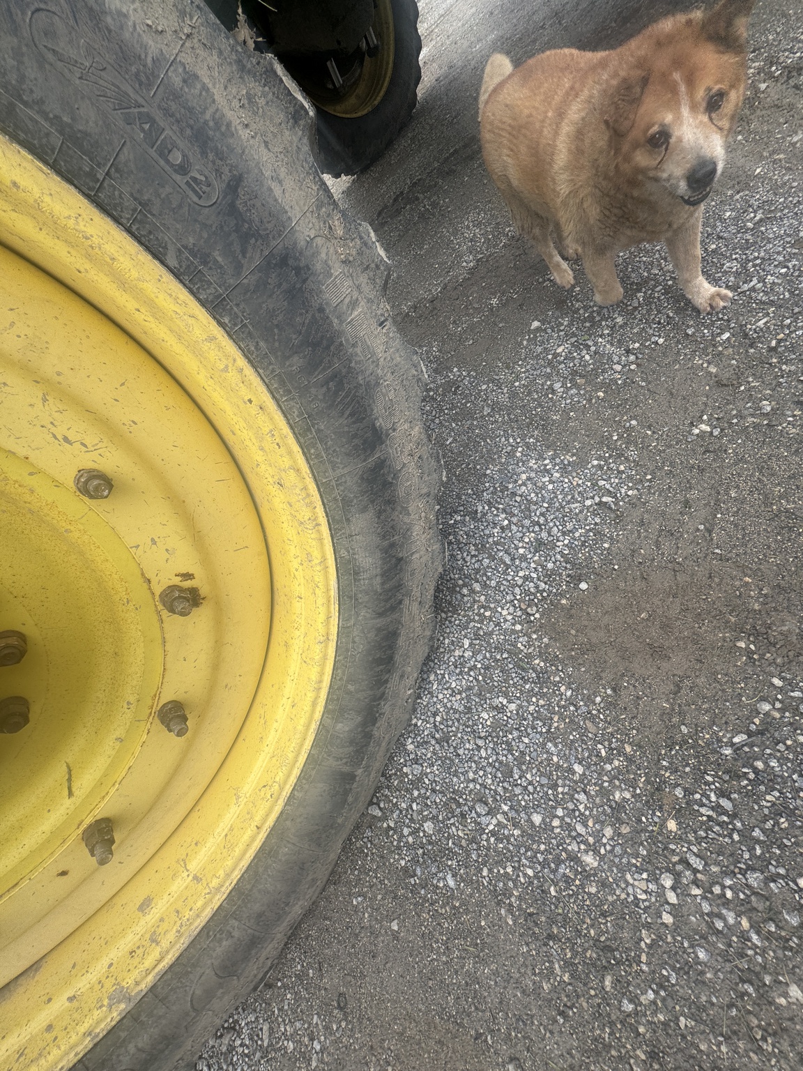 2014 John Deere 4940 Image 4