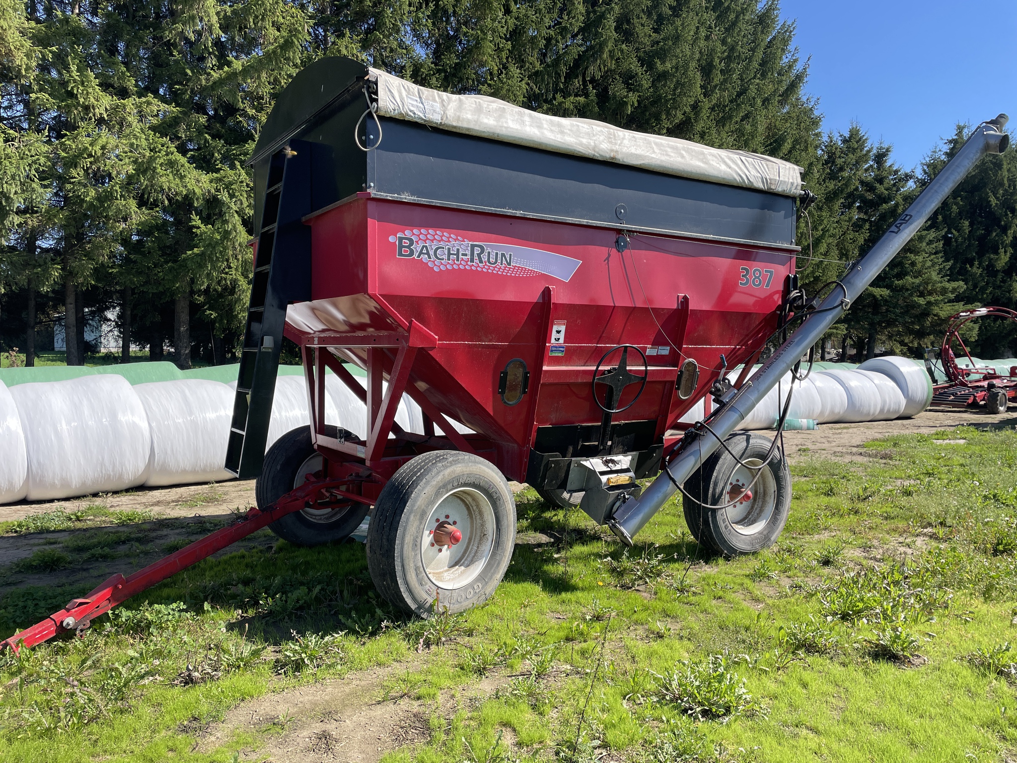 2019 Bach-Run 387 Image 1