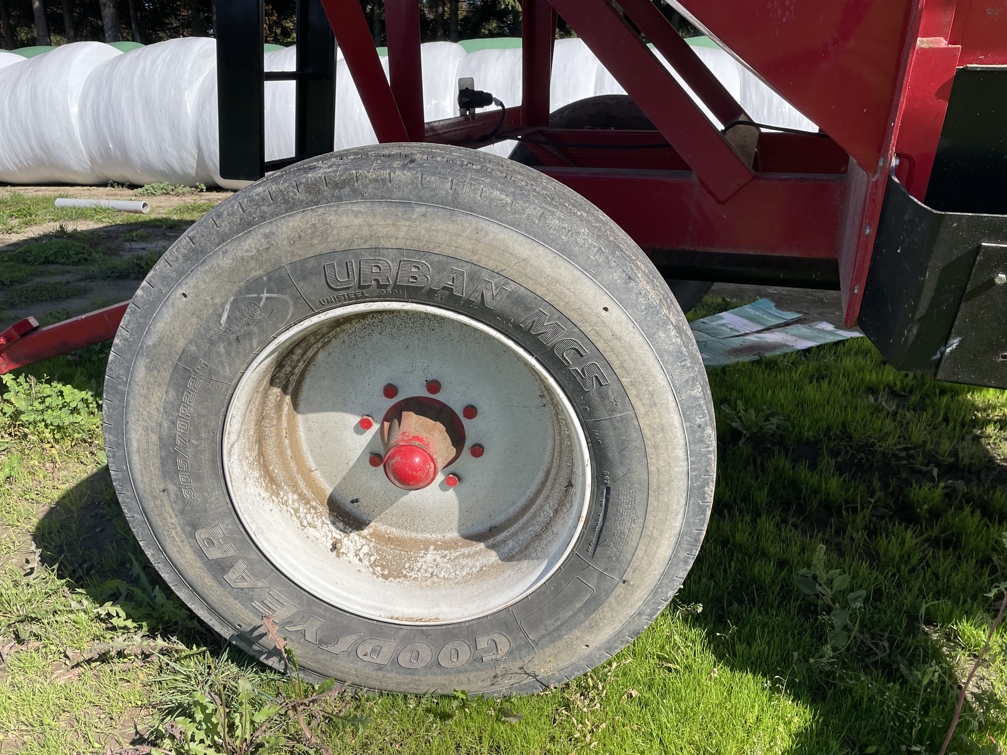 2019 Bach-Run 387 Image 5