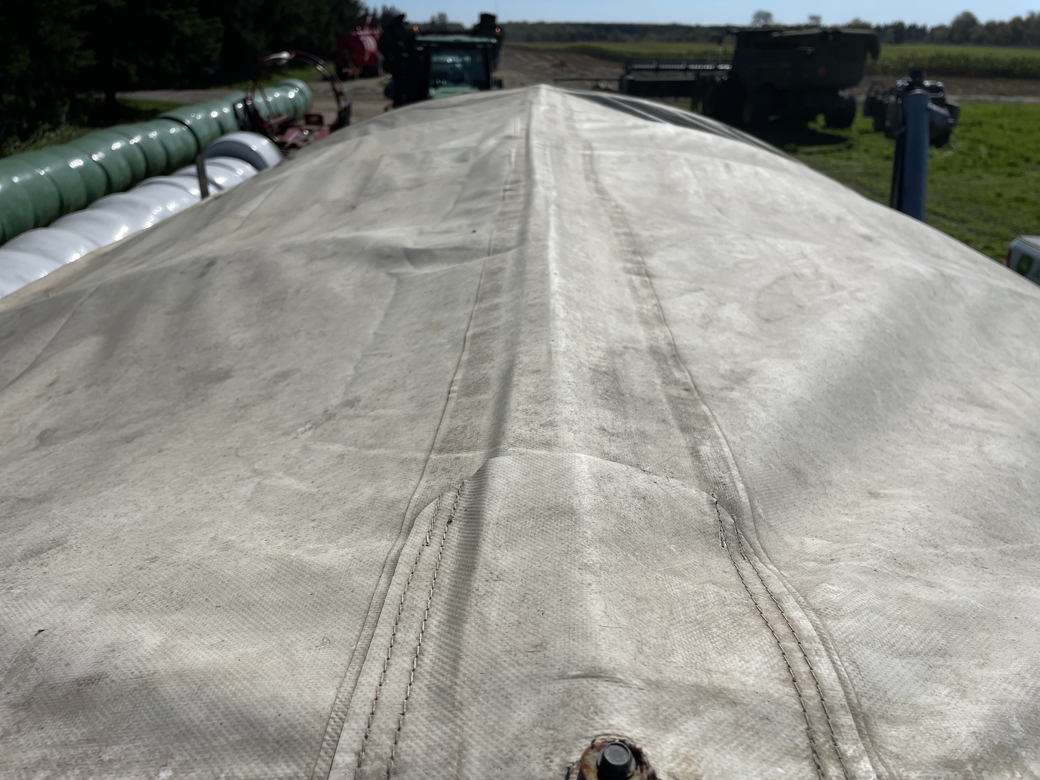 2019 Bach-Run 387 Image 9