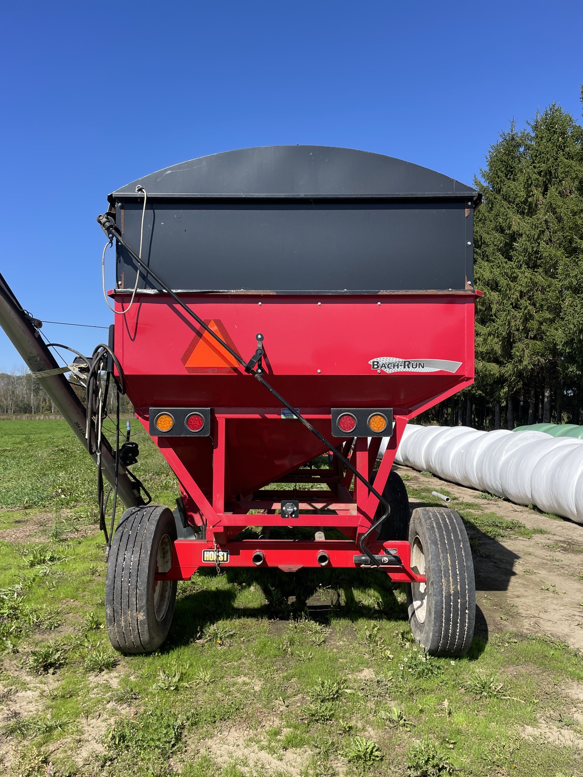 2019 Bach-Run 387 Image 2