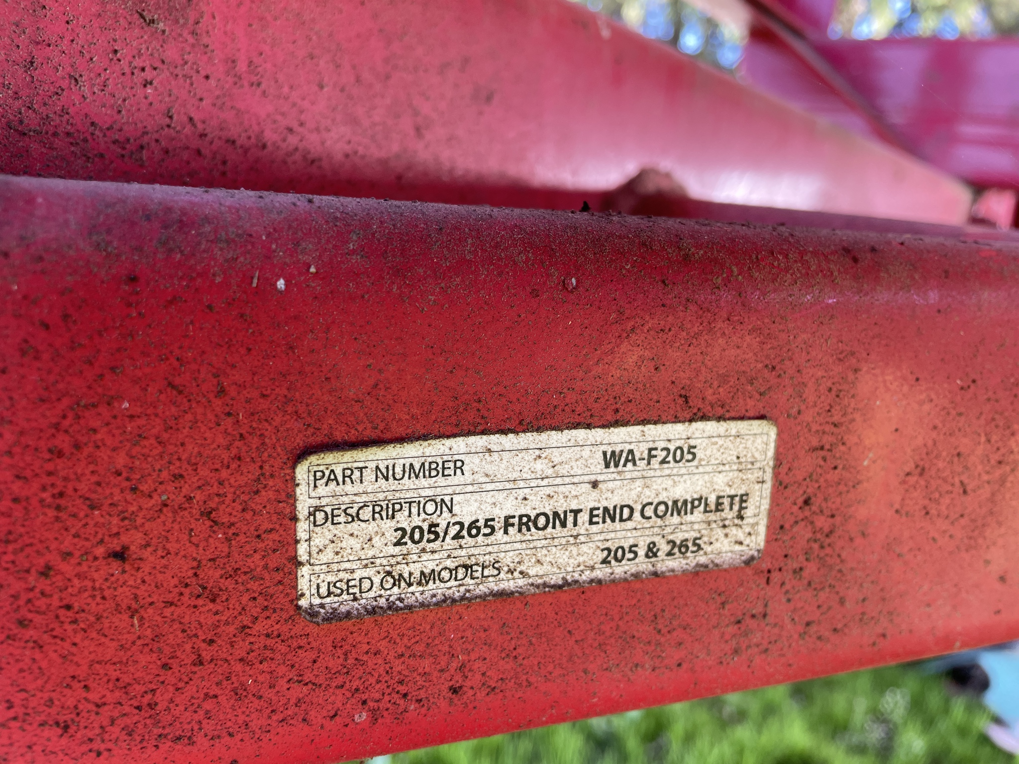 2019 Bach-Run 387 Image 8