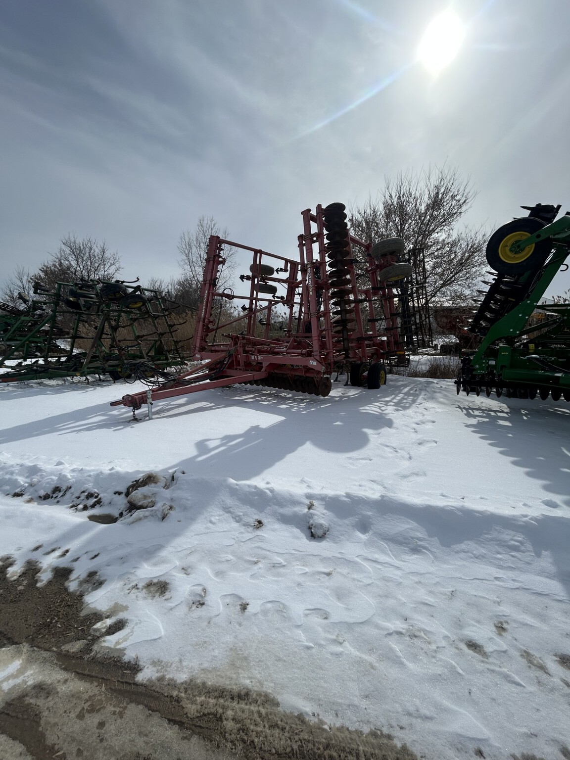 Sunflower 6333 Image 1