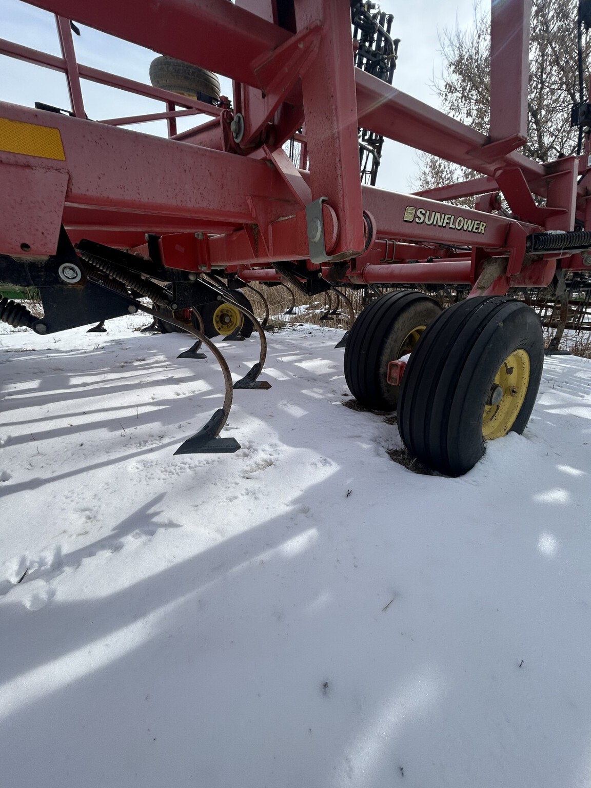 Sunflower 6333 Image 2