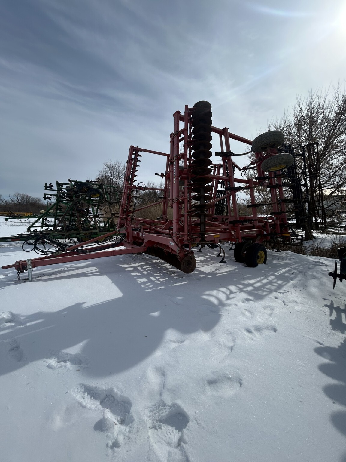 Sunflower 6333 Image 3