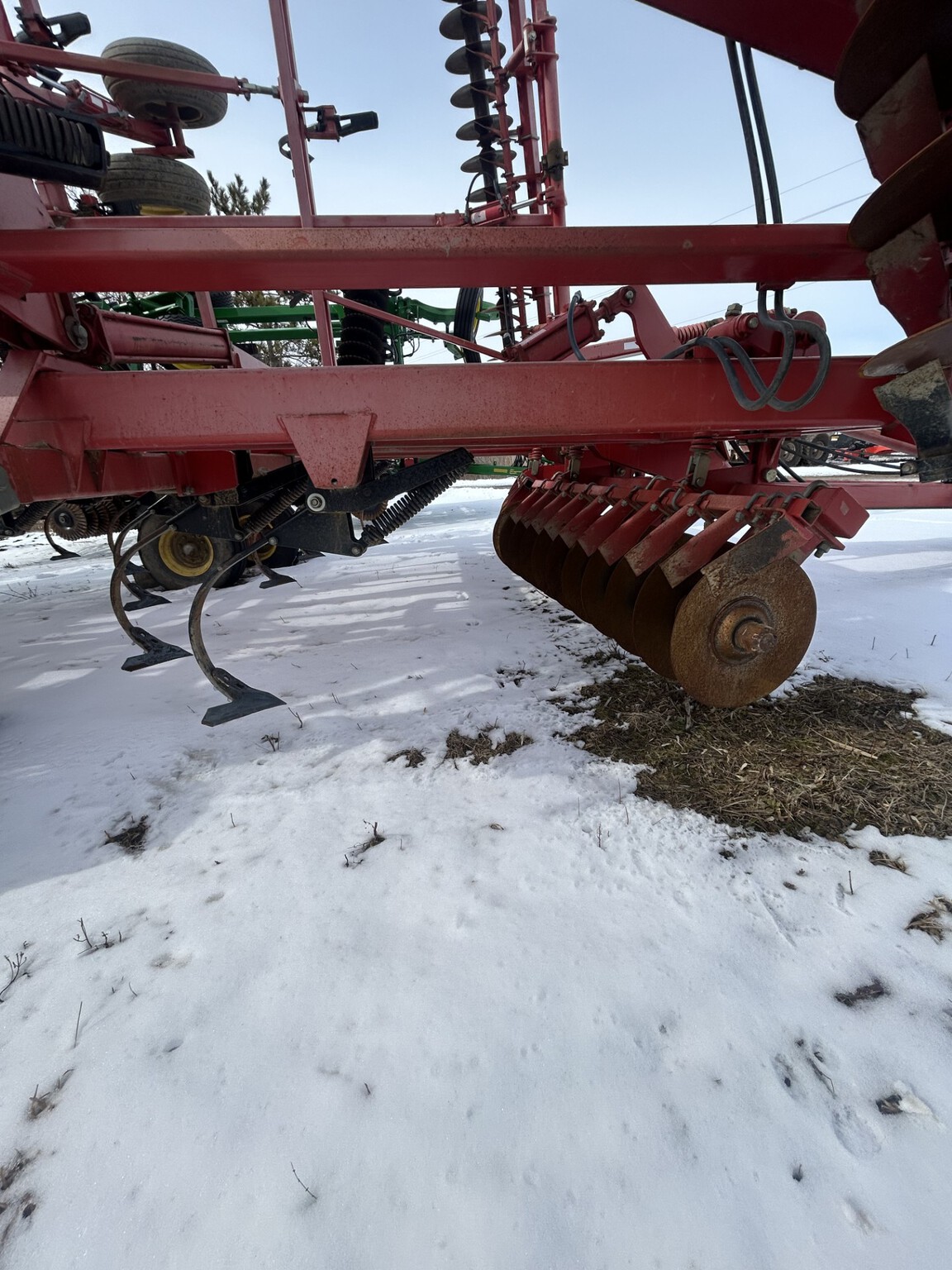 Sunflower 6333 Image 5