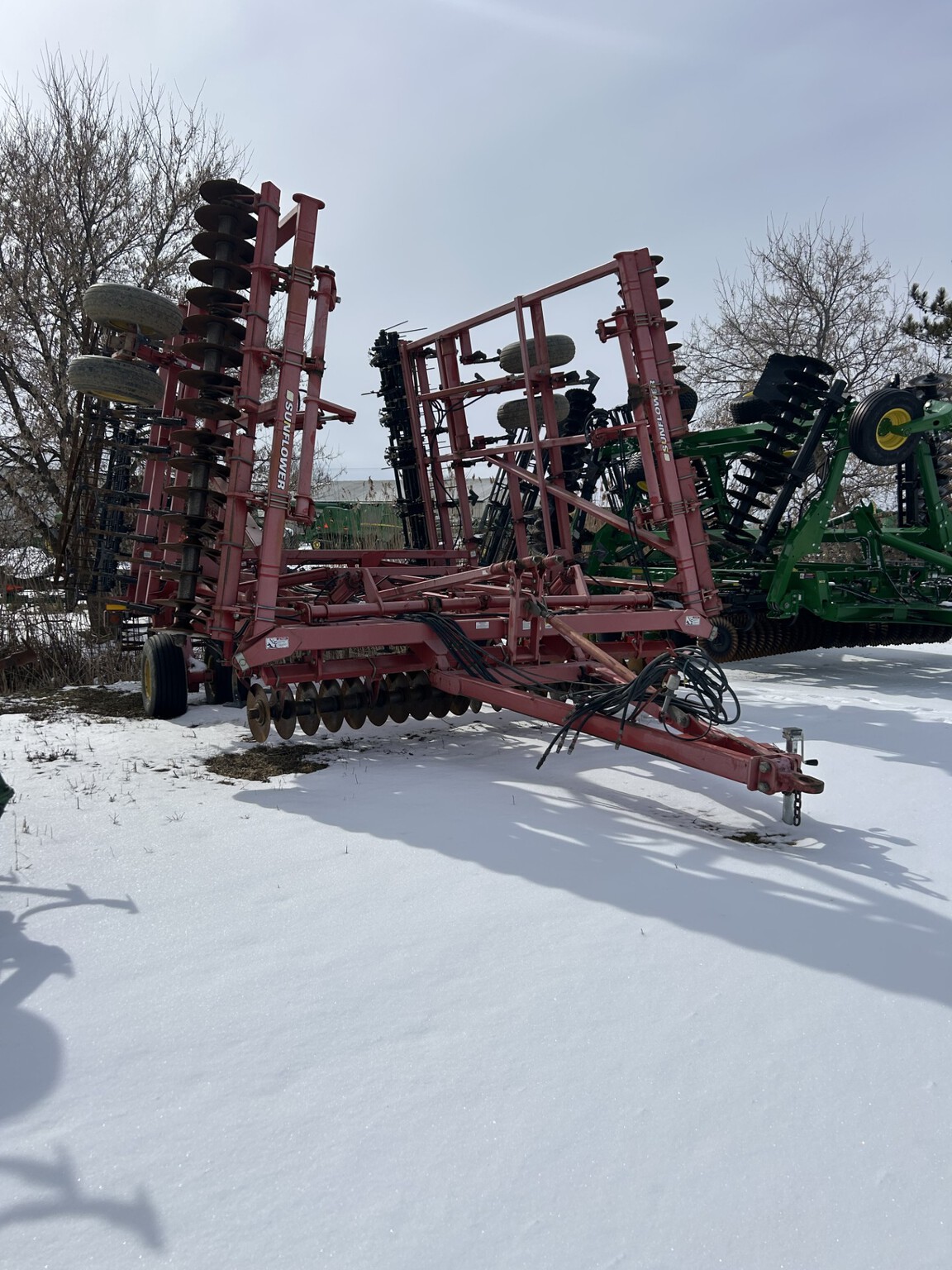 Sunflower 6333 Image 6