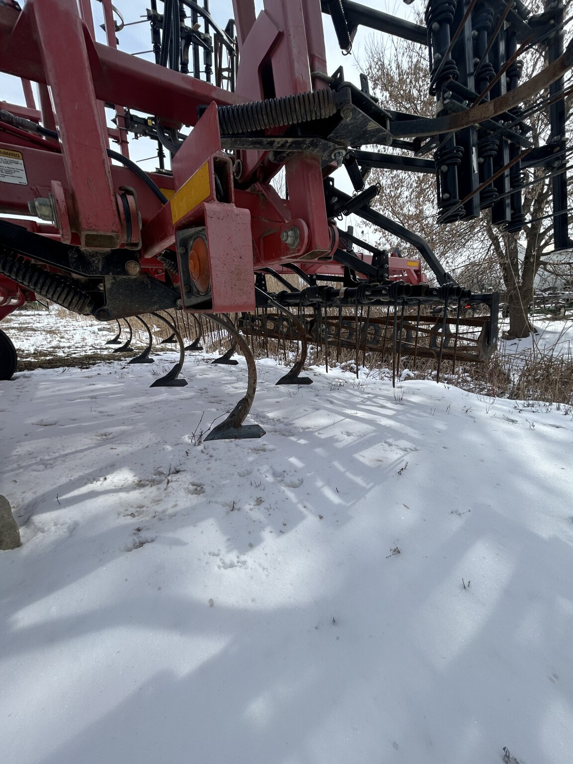 Sunflower 6333 Image 9